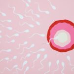 zyklus ohne Kondom: Vor- und Nachteile